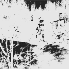 12122234w436 (for mescaline)