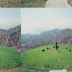 LOVE WAS OUR ESCAPE PLAN.