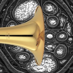 HORN BEAT.