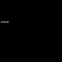 animal