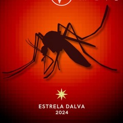 G.R.E.S.V. Estrela Dalva 2024: "Zum"