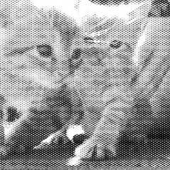 Кошка – (Сольная версия Noize Mc)