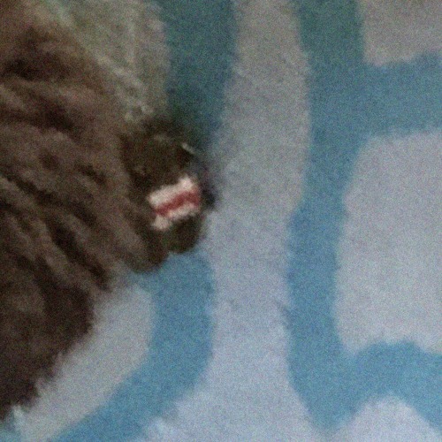 propulsion!!!!!!! - robin x roughpatch