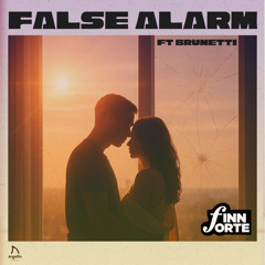 False Alarm (Radio Edit)