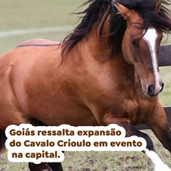 Goiás ressalta expansão do Cavalo Crioulo em evento na capital