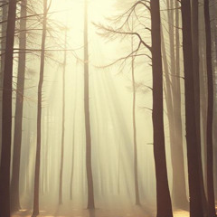 Re-framing Perspectives: A Teaching Song for Counselors