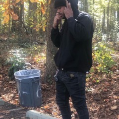 Rollin