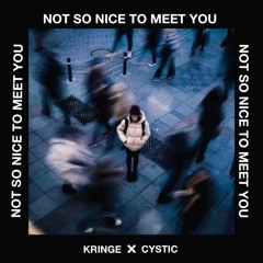 Not So Nice To Meet You (Feat. Kringe)