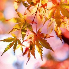 A Piece I Finally Found Autumn 22 Version - composed and produced by Marcos Gonzalez