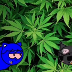 Prepare to get high. (High Shovel but Kuromi and Sonicgod sings it)