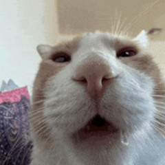 SORTED HOMMIE - EGO (TECHNO)