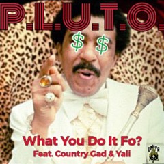 What You Do It Fo Feat Country Gad & Yali