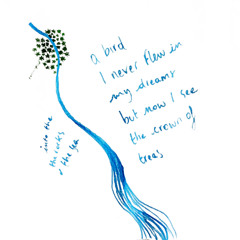 Episode 3: Embedding Embodiment