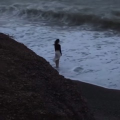 Left on the Shore
