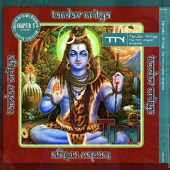 Numero Uno - Killjoy (160bpm) - VA Tandav Nritya chapter 5 - Horrordelic Records