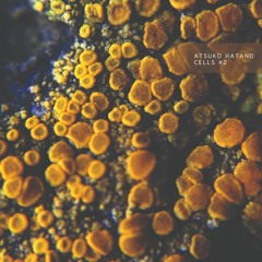 Atsuko Hatano "Cavern" from Cells #2 Cassette