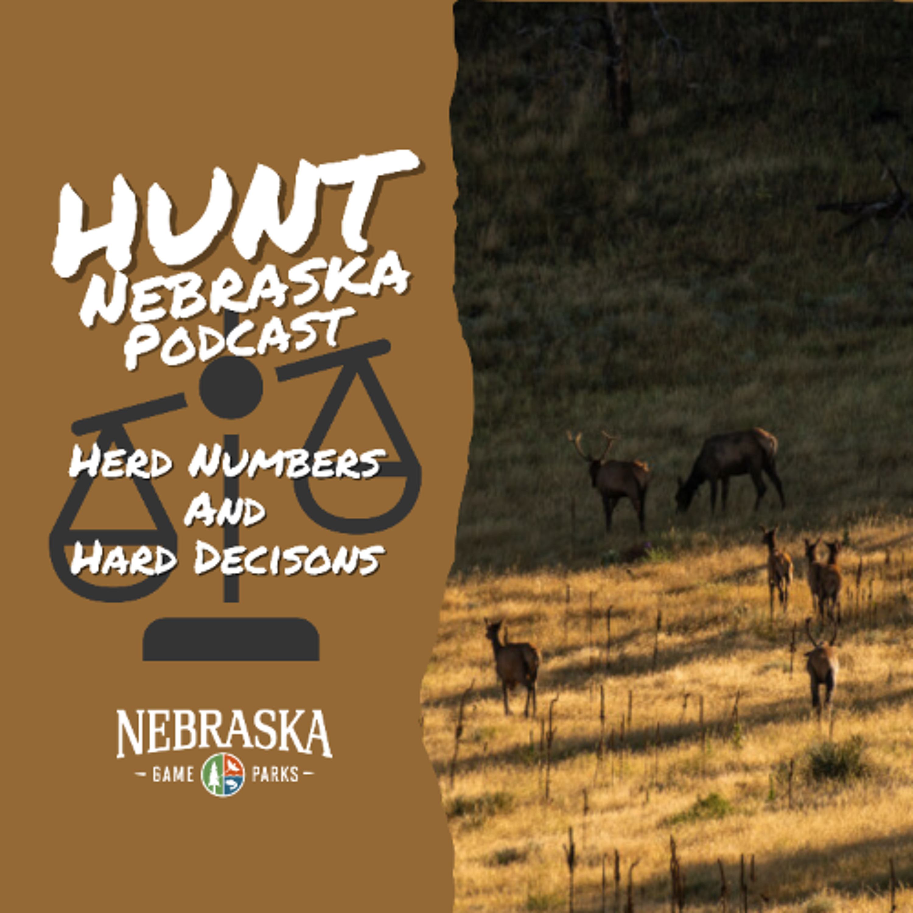 Herd Numbers and Hard Decisions