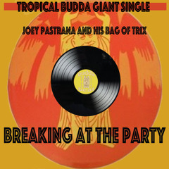 Breaking At The Party (Instrumental)