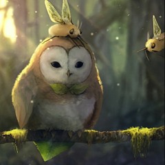 French Fuse Cat (Tiktok)