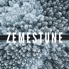 Beatween The Trees | Zemestune