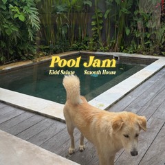 POOL JAM - Full Set (Smooth House)