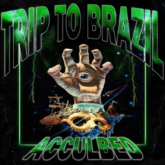 TRIP TO BRAZIL