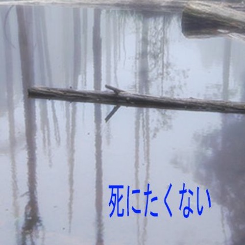 in my arms, despite you making them bleed