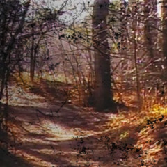 Harvest ft.wolfmarsh prod.drugslutt