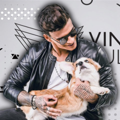 VINTAGE CULTURE MIX 2026 | SÓ TRACK BOA | AS MELHORES MÚSICAS ELETRÔNICAS | DJ SET MIX