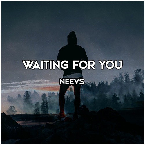 NEEVS - Waiting For You