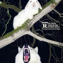 YEAR OF THE RABBIT.