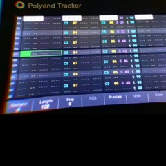Niklas Worgt - Polyend Tracker Test "Ugliest Crush" (FreeDownload)Unmastered, Raw