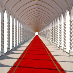 Lights, Camera, Action