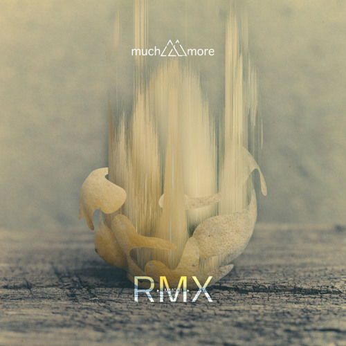 Indefinite Pitch PREMIERES. Skudge - Tryptic (Amarou Remix) [Much More Recordings]