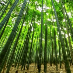 Gentle & Soothing Thunderstorm for Sleep (Loopable, No Fade, Loop) [feat. Storm & Rainfall for Sleep]