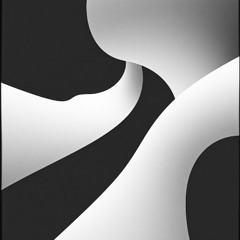 白と黒
