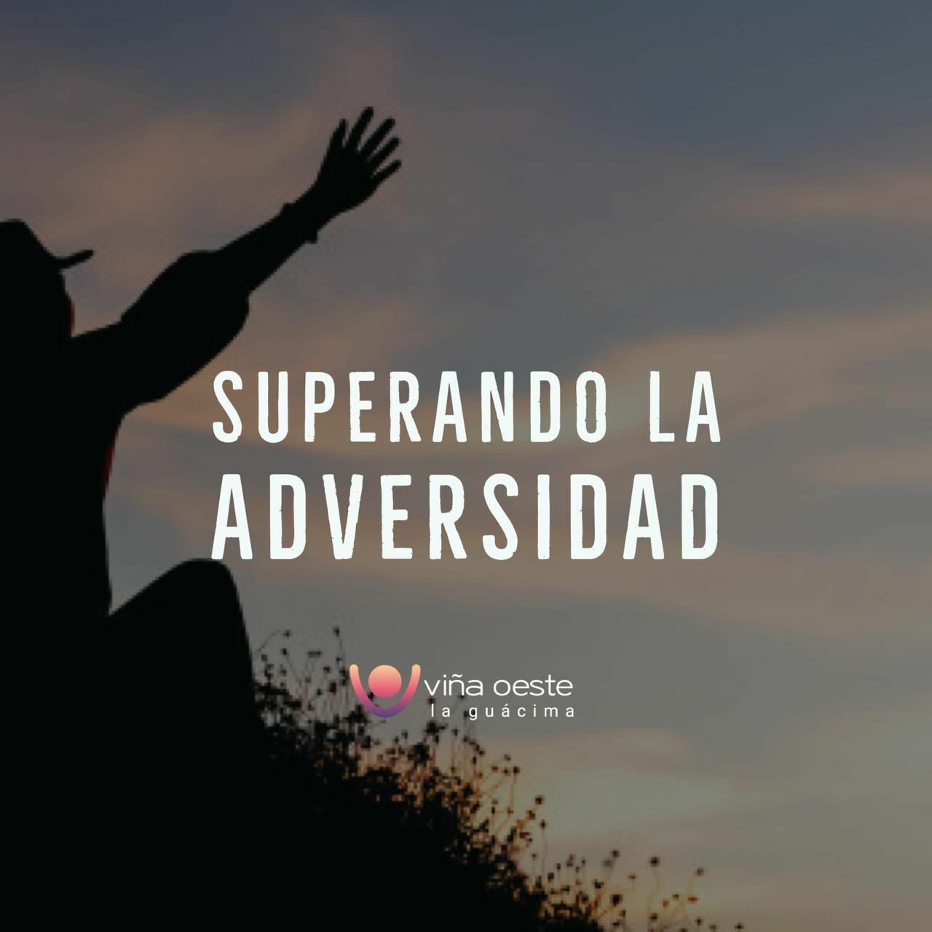 Viña Oeste La Guácima