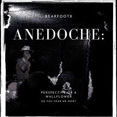 Anecdoche: Perspective of a WallFlower