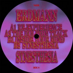 PREMIERE: Erdmann - The Dolphin Track [Trance-Atlantyk]