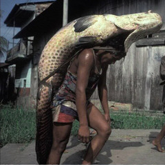 BULLROARERS, CATFISH TRUMPETS, LAUGHING ALLIGATORS, AND ALIEN FACE-PEELERS