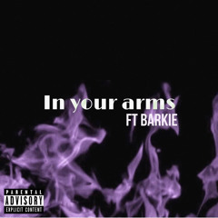 In Your Arms (ft Barkie)