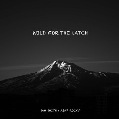 Flume x Sam Smith x A$AP Rocky - Wild for the Latch