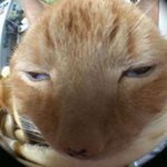 you lonely 🥴 [ ft ysl jj ]