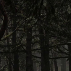 i left and never came back