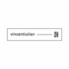 Lokocast | 107 : Vincentiulian DJ mix artwork - Electronic music tracklist cover image