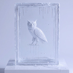 ICEMAN (FREEZE THE WORLD)