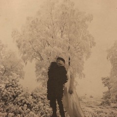 Les Saisons Confondues - Trio pour Hautbois, Violoncelle, Piano (2019)