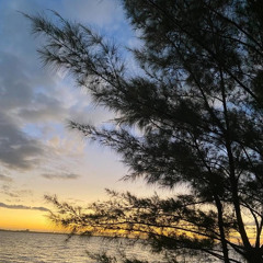 1of1soldier - CAN I VENT TO YOU BY THE WATER [Evermore exclusive]