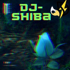 Stream DJ-Shiba music | Listen to songs, albums, playlists for