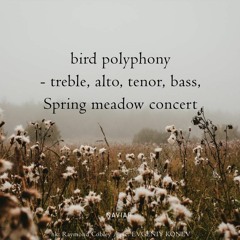 Polyphony Meadow [naviarhaiku495]